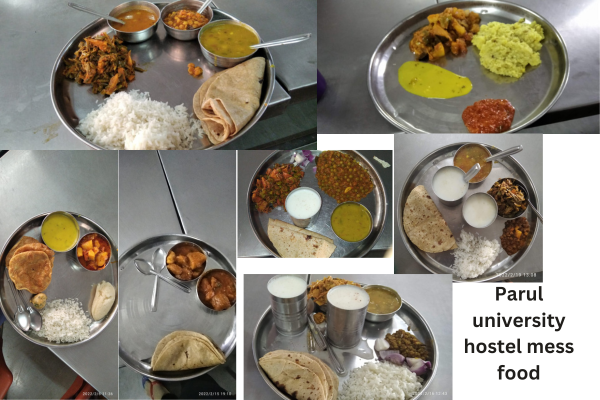 Parul University hostel mess food